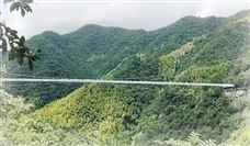 志特新材超60亿竞得“天价”锂矿