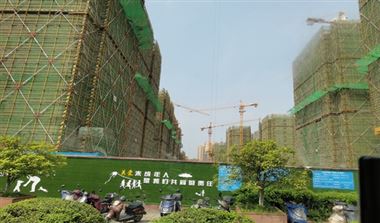 工程机械市场韧性凸显 2025年出口或迎“温和增长”