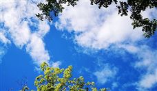 “服务型制造”示范典型案例丨工业和信息化部电子第五研究所华东分所