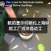 航拍显示特斯拉上海储能工厂或准备动工（图4）