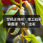 交机正当时！徐工钻采装备逐“热”出发