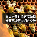 重大进展！渝万高铁特长高瓦斯隧道掘进突破3000米（图4）