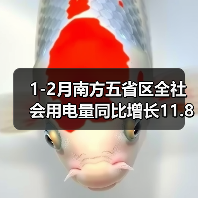 1-2月南方五省区全社会用电量同比增长11.8%（图1）