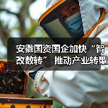 安徽国资国企加快“智改数转” 推动产业转型升级(图2) 安徽国资国企加快“智改数转” 推动产业转型升级(图2)