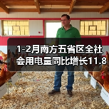 1-2月南方五省区全社会用电量同比增长11.8%（图2）
