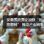 安徽国资国企加快“智改数转” 推动产业转型升级(图3) 安徽国资国企加快“智改数转” 推动产业转型升级(图3)