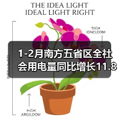 1-2月南方五省区全社会用电量同比增长11.8%（图4）