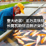 重大进展！渝万高铁特长高瓦斯隧道掘进突破3000米（图2）