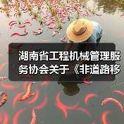 湖南省工程机械管理服务协会关于《非道路移动工程机械排气烟度限值及检测技术规范》团体标准立项的公告（图4）