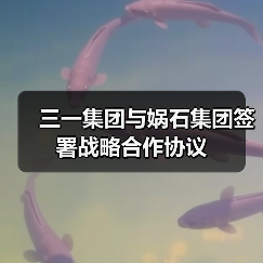 三一集团与娲石集团签署战略合作协议(图4) 三一集团与娲石集团签署战略合作协议(图4)