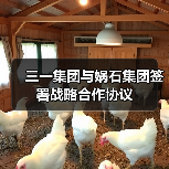 三一集团与娲石集团签署战略合作协议(图1) 三一集团与娲石集团签署战略合作协议(图1)