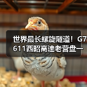 世界最长螺旋隧道!G7611西昭高速老营盘一号隧道贯通(图4) 世界最长螺旋隧道!G7611西昭高速老营盘一号隧道贯通(图4)