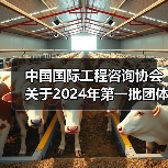 中国国际工程咨询协会关于2024年第一批团体标准的立项公告(图3) 中国国际工程咨询协会关于2024年第一批团体标准的立项公告(图3)