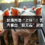 赴温州港“上任”！国内首台“巨无霸”起重机启航发运（图3）