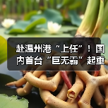 赴温州港“上任”！国内首台“巨无霸”起重机启航发运