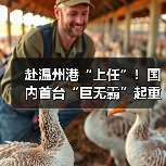 赴温州港“上任”！国内首台“巨无霸”起重机启航发运（图2）