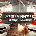 深圳重大项目民生工程“进度条”全速加载(图4) 深圳重大项目民生工程“进度条”全速加载(图4)