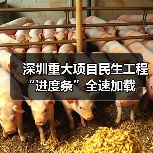 深圳重大项目民生工程“进度条”全速加载(图2) 深圳重大项目民生工程“进度条”全速加载(图2)