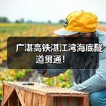 广湛高铁湛江湾海底隧道贯通!(图4) 广湛高铁湛江湾海底隧道贯通!(图4)