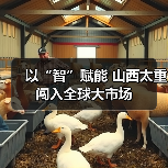 以“智”赋能 山西太重闯入全球大市场