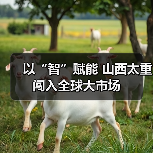 以“智”赋能 山西太重闯入全球大市场(图4) 以“智”赋能 山西太重闯入全球大市场(图4)
