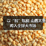 以“智”赋能 山西太重闯入全球大市场(图2) 以“智”赋能 山西太重闯入全球大市场(图2)