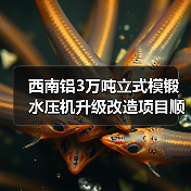 西南铝3万吨立式模锻水压机升级改造项目顺利完成