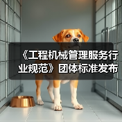 《工程机械管理服务行业规范》团体标准发布（图3）