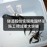 隧道股份实现我国桥梁施工领域重大突破(图3) 隧道股份实现我国桥梁施工领域重大突破(图3)