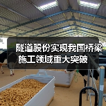 隧道股份实现我国桥梁施工领域重大突破(图4) 隧道股份实现我国桥梁施工领域重大突破(图4)