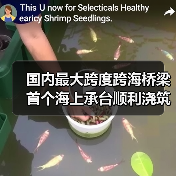 国内最大跨度跨海桥梁首个海上承台顺利浇筑完成(图4) 国内最大跨度跨海桥梁首个海上承台顺利浇筑完成(图4)