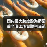 国内最大跨度跨海桥梁首个海上承台顺利浇筑完成(图3) 国内最大跨度跨海桥梁首个海上承台顺利浇筑完成(图3)