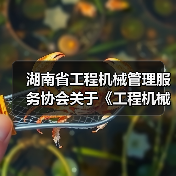 湖南省工程机械管理服务协会关于《工程机械管理服务行业规范》团体标准立项的公告（图3）