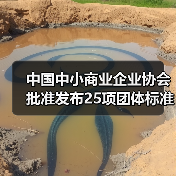 中国中小商业企业协会批准发布25项团体标准！（图4）