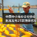 中国中小商业企业协会批准发布25项团体标准！（图2）