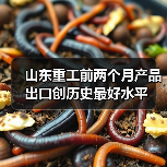 山东重工前两个月产品出口创历史最好水平(图4) 山东重工前两个月产品出口创历史最好水平(图4)