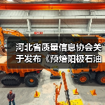 河北省质量信息协会关于发布《预焙阳极石油焦掺配技术》等三项团体标准的公告(图3) 河北省质量信息协会关于发布《预焙阳极石油焦掺配技术》等三项团体标准的公告(图3)