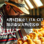 4月5日截止!ITA-CET培训会议火热报名中(图3) 4月5日截止!ITA-CET培训会议火热报名中(图3)