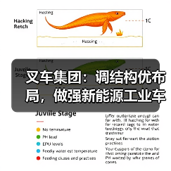 叉车集团：调结构优布局，做强新能源工业车辆整机产业（图4）