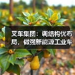 叉车集团：调结构优布局，做强新能源工业车辆整机产业（图2）