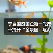 宁夏国资国企新一轮改革提升“全景图”逐渐浮现