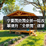 宁夏国资国企新一轮改革提升“全景图”逐渐浮现(图2) 宁夏国资国企新一轮改革提升“全景图”逐渐浮现(图2)
