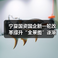 宁夏国资国企新一轮改革提升“全景图”逐渐浮现(图3) 宁夏国资国企新一轮改革提升“全景图”逐渐浮现(图3)