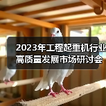 2023年工程起重机行业高质量发展市场研讨会在上海成功举行(图4) 2023年工程起重机行业高质量发展市场研讨会在上海成功举行(图4)
