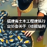 福建省土木工程建筑行业协会关于《桩板结构技术规程》等13项团体标准联合立项公告