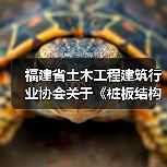 福建省土木工程建筑行业协会关于《桩板结构技术规程》等13项团体标准联合立项公告（图4）
