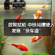 数智赋能 中铁城建驶入发展“快车道”