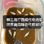 柳工与广西现代物流集团签署战略合作框架协议(图3) 柳工与广西现代物流集团签署战略合作框架协议(图3)