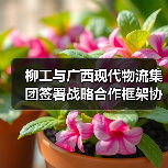 柳工与广西现代物流集团签署战略合作框架协议