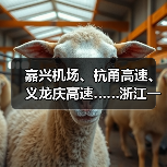 嘉兴机场、杭甬高速、义龙庆高速……浙江一批交通工程有新进展(图3) 嘉兴机场、杭甬高速、义龙庆高速……浙江一批交通工程有新进展(图3)